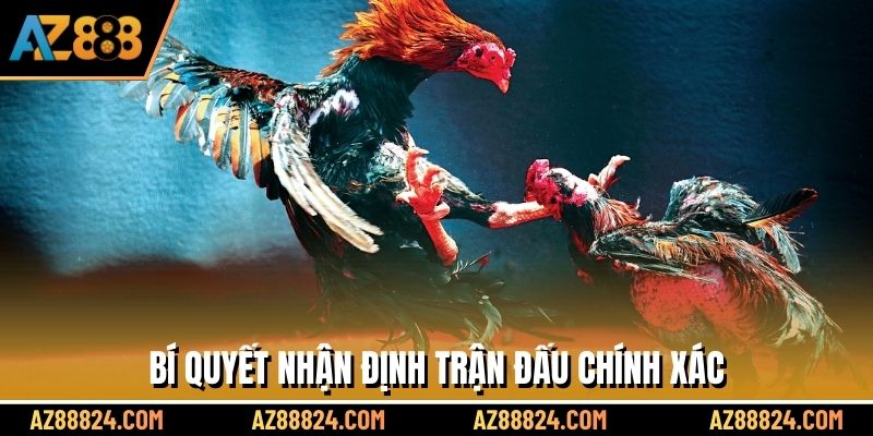 Bí quyết nhận định trận đấu chính xác