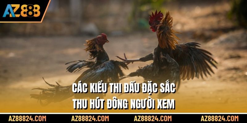 Các kiểu thi đấu đặc sắc thu hút đông người xem