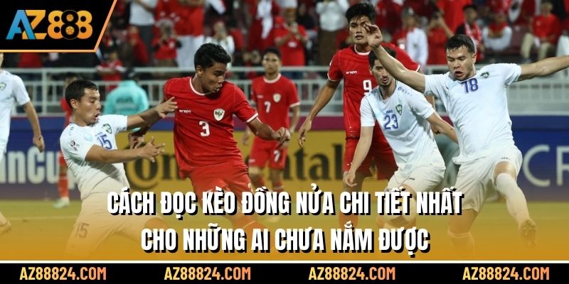 Cách đọc kèo đồng nửa chi tiết nhất cho những ai chưa nắm được