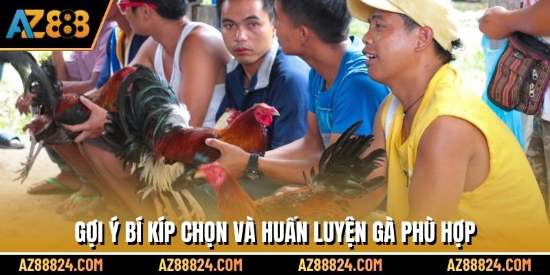 Gợi ý bí kíp chọn và huấn luyện gà phù hợp