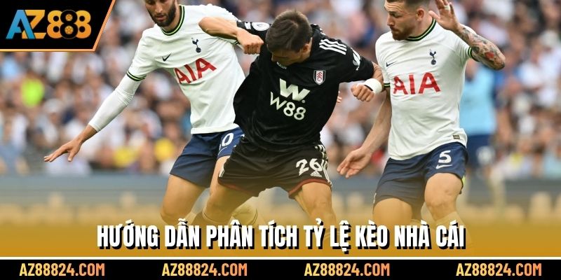 Hướng dẫn phân tích tỷ lệ kèo nhà cái