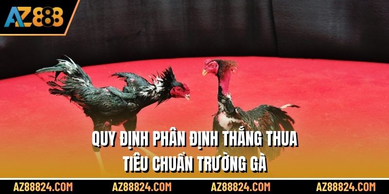 Quy định phân định thắng thua tiêu chuẩn trường gà