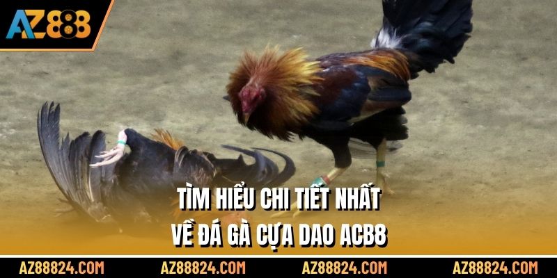 Tìm hiểu chi tiết nhất về đá gà cựa dao AZ8B8