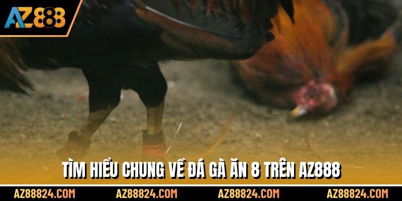 Tìm hiểu chung về đá gà ăn 8 trên AZ888