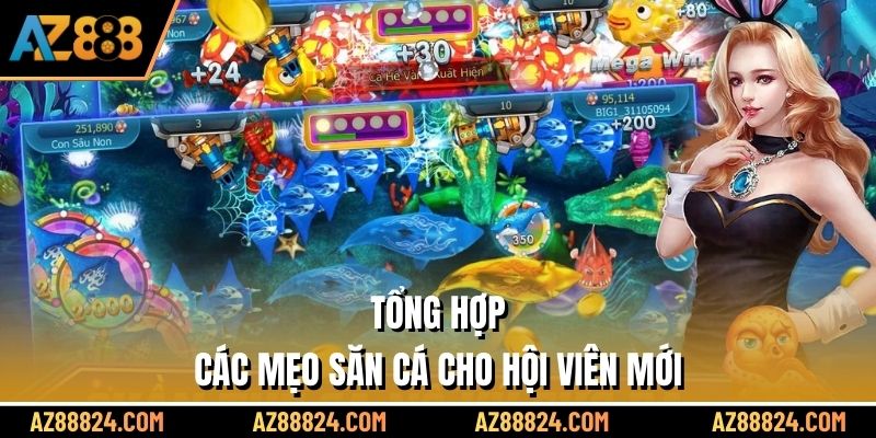 Tổng hợp các mẹo săn cá cho hội viên mới