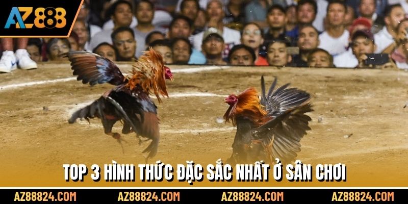 Top 3 hình thức đặc sắc nhất ở sân chơi